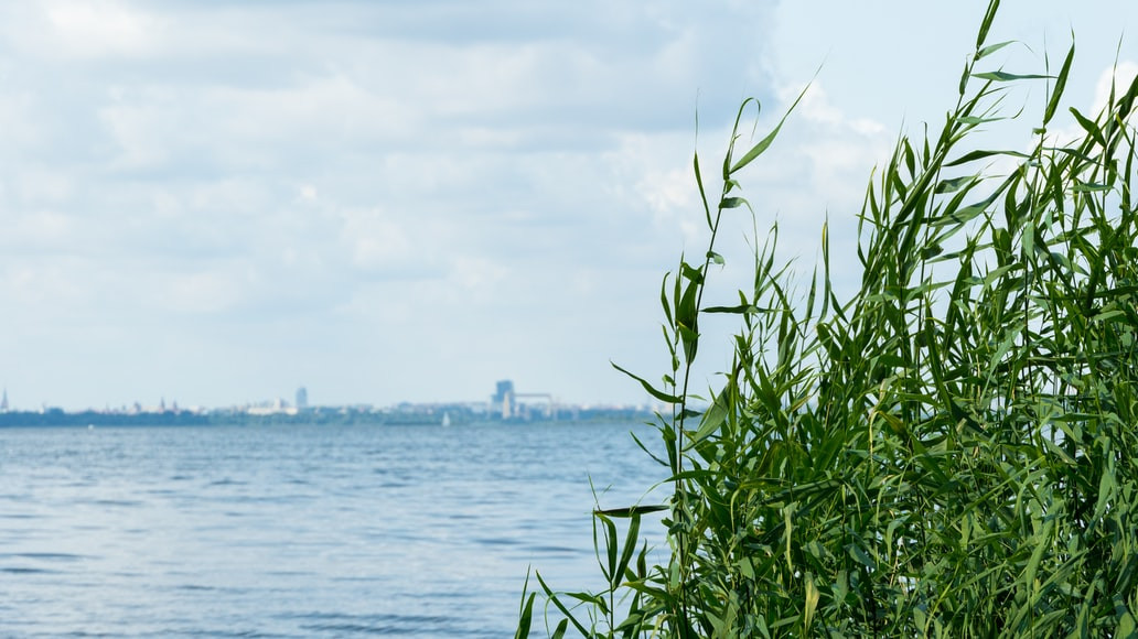 Deep Learning in ArcGIS Pro supports archaeological research on the wrecks of the Szczecin Lagoon