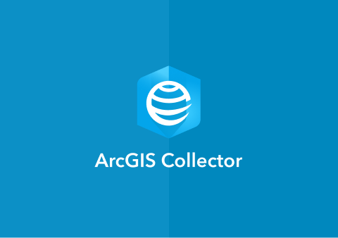 ArcGIS Field Maps
